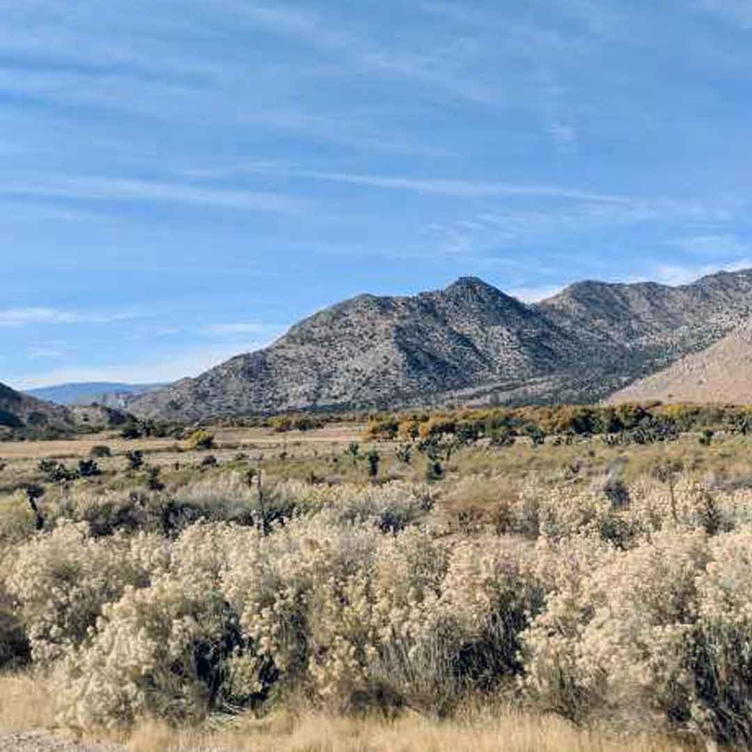 Photo of mountain behind vacant lot