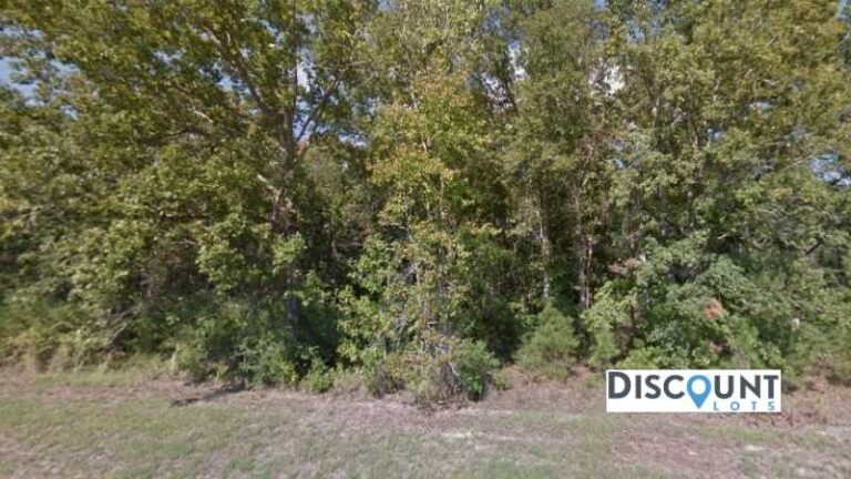 0.15 acres Lot in Livingston, TX. APN# I0400-0071-00 Street view of the property