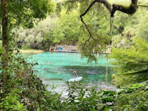 Rainbow Springs State Park in Dunnellon FL