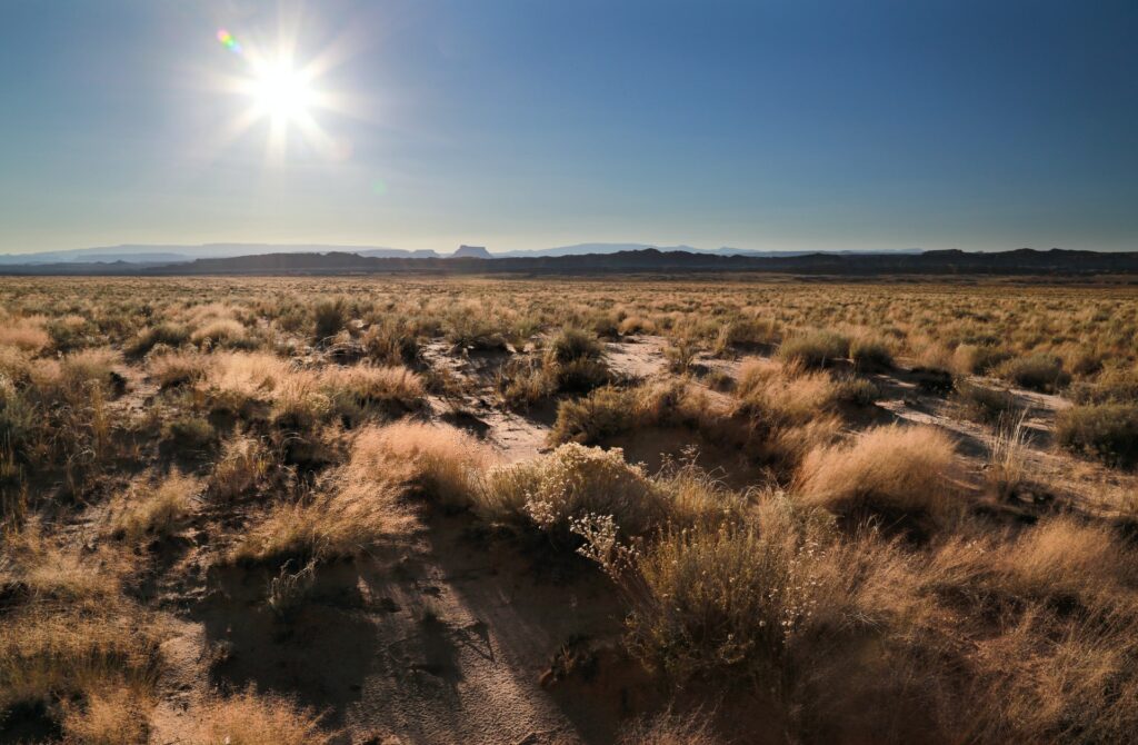 High desert in Landers, CA USA