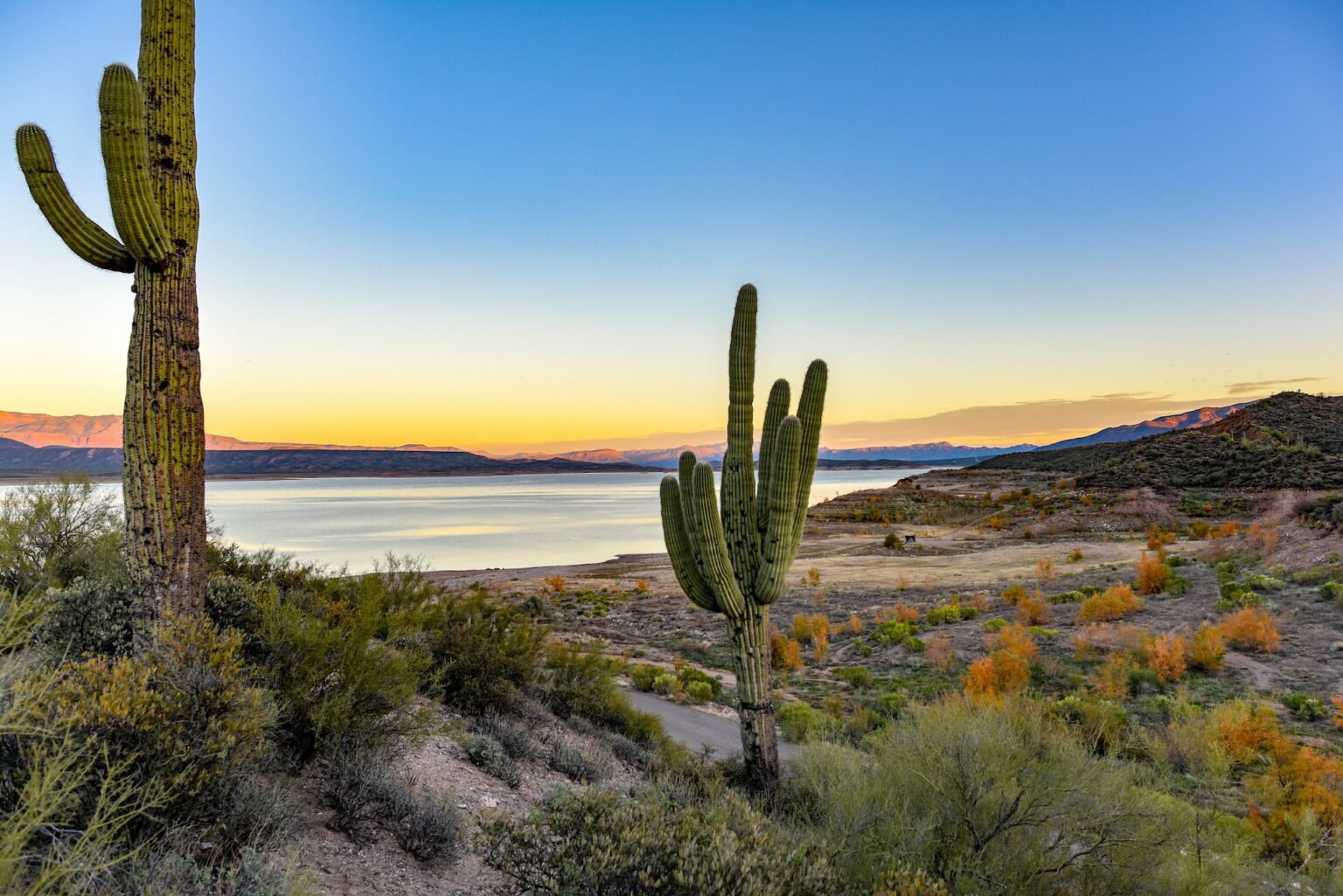 why-is-land-cheap-in-new-mexico-discount-lots