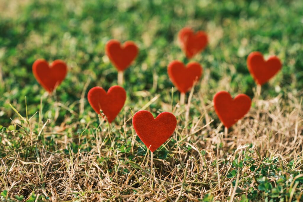 Decorative red hearts on a piece of land when searching for where is the cheapest land to buy right now
