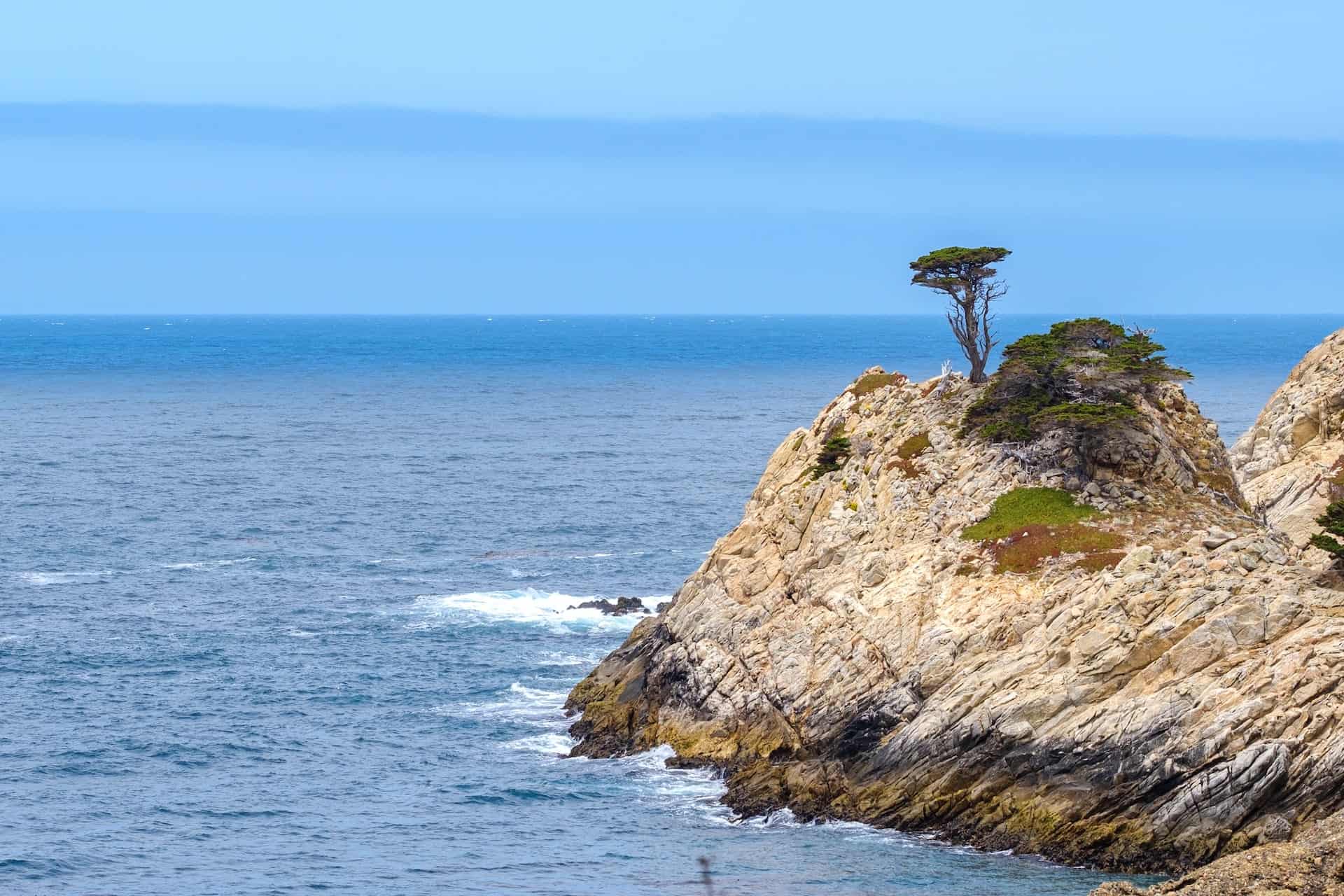Lone cypress tree on the rocky shores of the rocky Pacific Coast in Northern California. Point Lobos Park