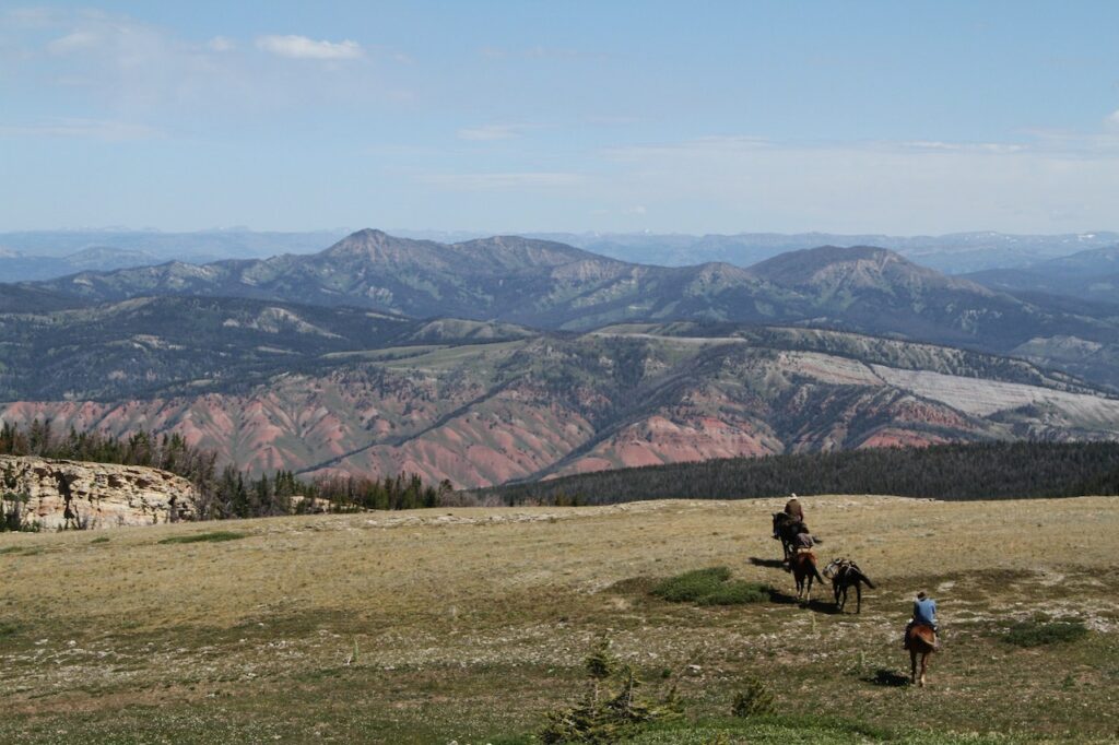 People riding horses on a mountain field that looks like what is unimproved land