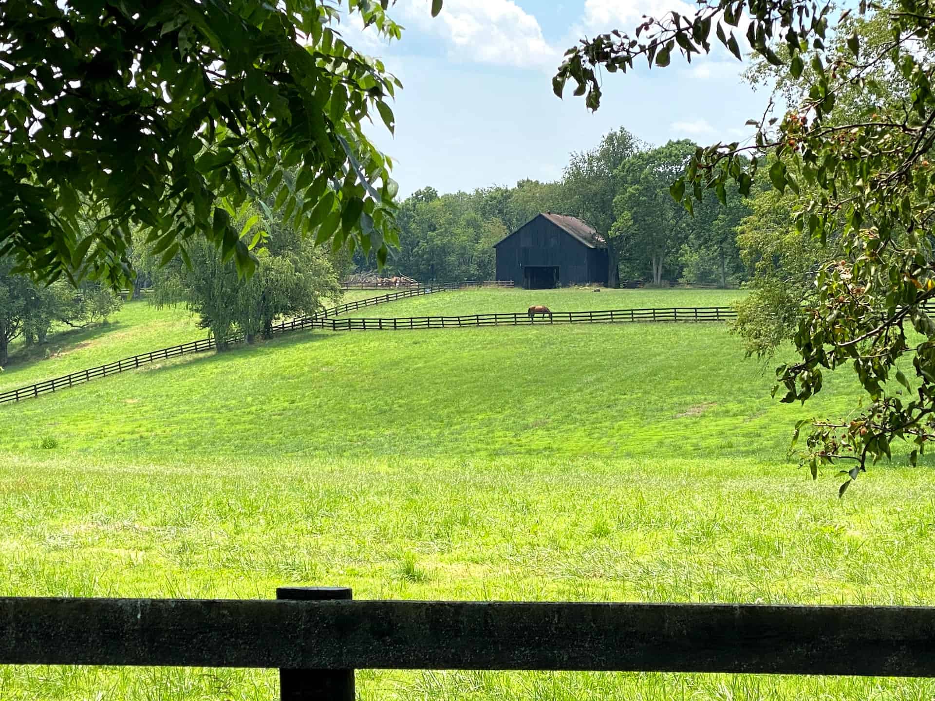 Rustic Barn, Green Pastures and a Horse living its life.