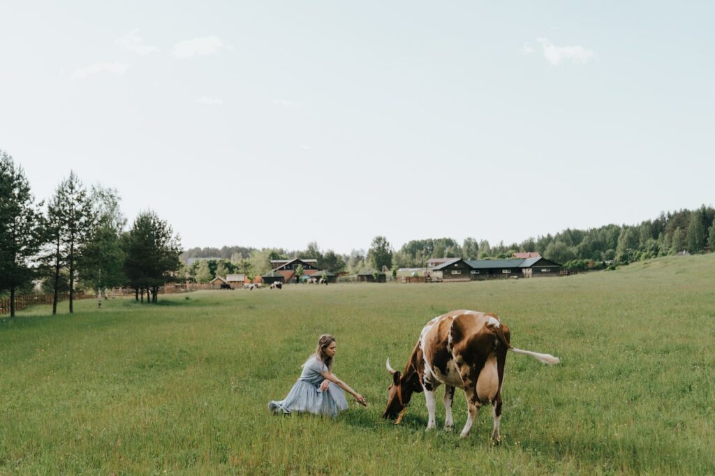 Woman in White Dress Sitting on Green Grass Field Beside Brown Cow Showcasing What is Modern Homesteading and Farming