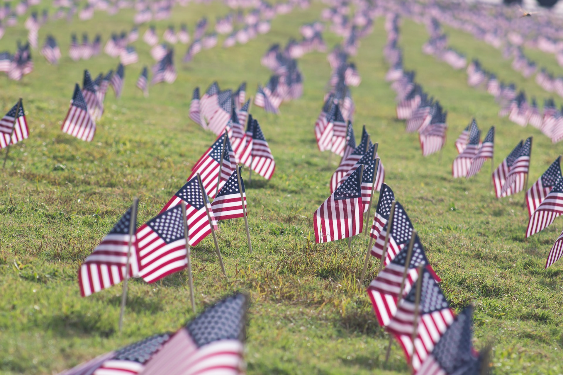 selective focus photography of USA flaglets planted on ground for Labor Day