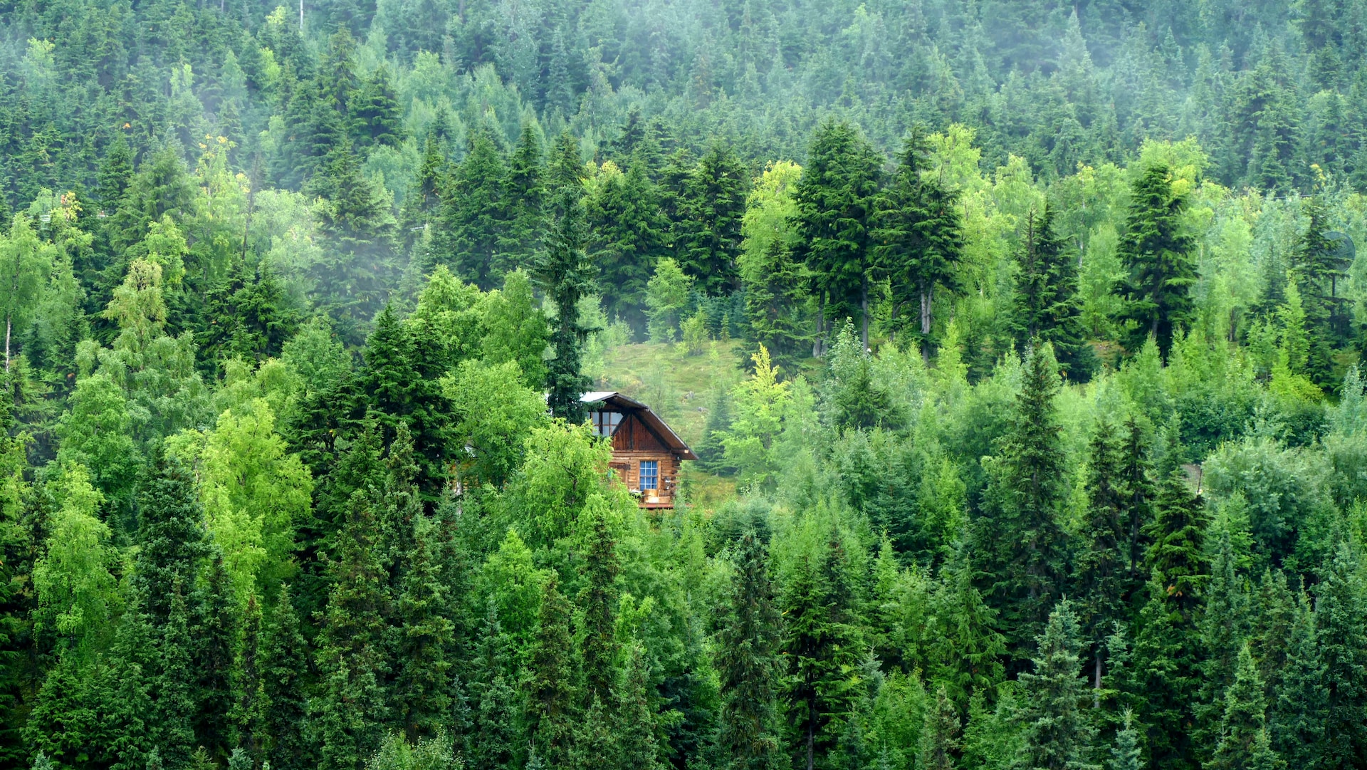 Brown wooden house on green forest during daytime when looking where is the cheapest place to build a house