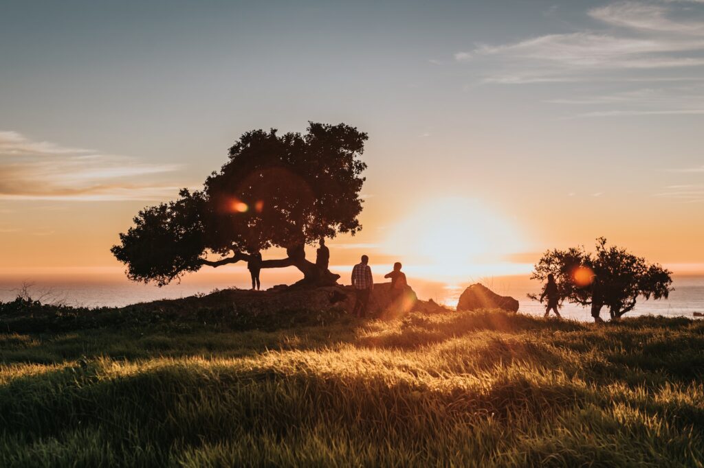 People moving to another city on a beautiful sunset comparing the cost of living in California vs Texas