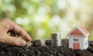 Buying Land Might Be the Smartest Investment