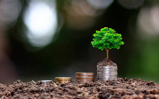 Strategic Approaches to Land Investment