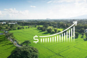 Strategic Considerations for 2025 Land Buyers