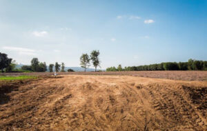 Benefits of Undeveloped Land